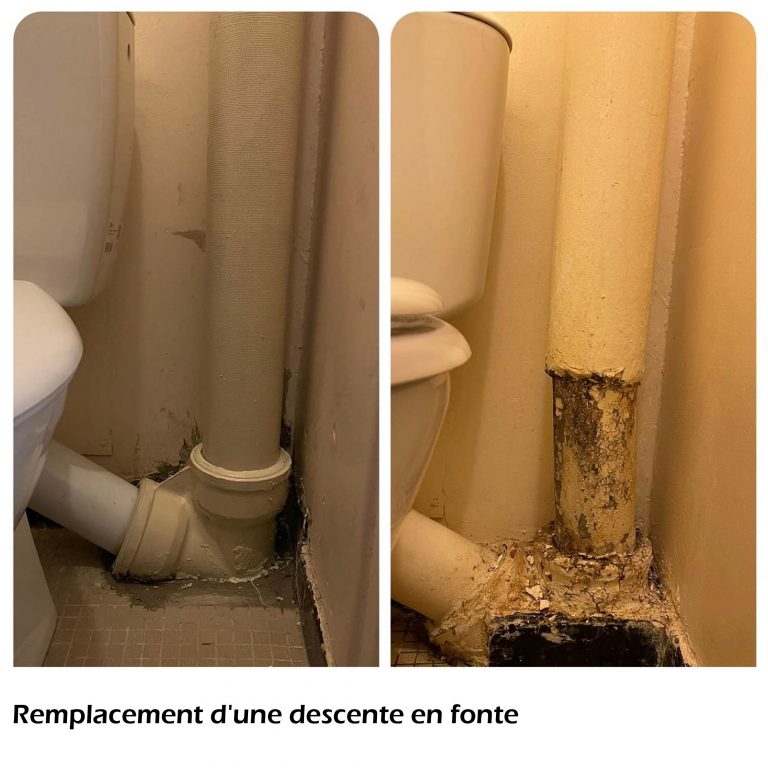 remplacement fonte